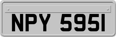 NPY5951