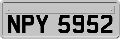 NPY5952