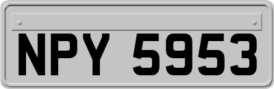NPY5953
