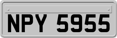 NPY5955