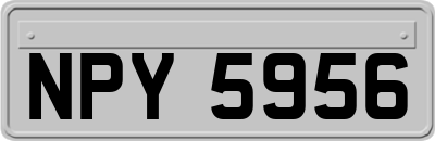 NPY5956