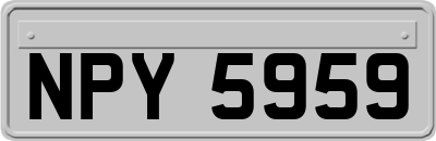 NPY5959