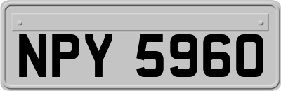NPY5960