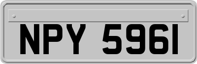 NPY5961
