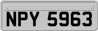 NPY5963