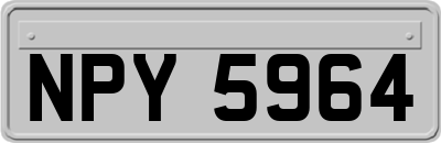 NPY5964