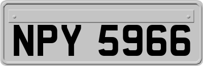 NPY5966