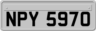 NPY5970