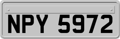 NPY5972