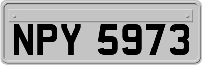 NPY5973