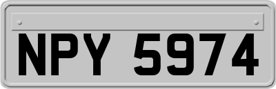 NPY5974