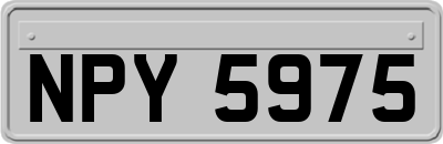 NPY5975