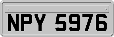 NPY5976