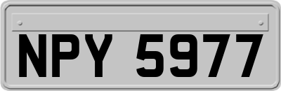 NPY5977