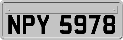 NPY5978