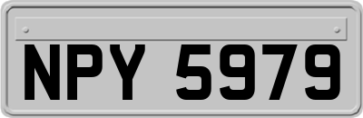 NPY5979