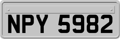 NPY5982
