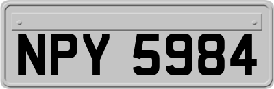 NPY5984