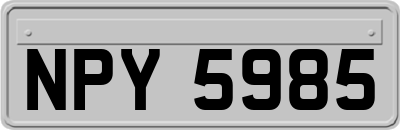 NPY5985
