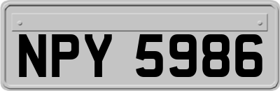 NPY5986