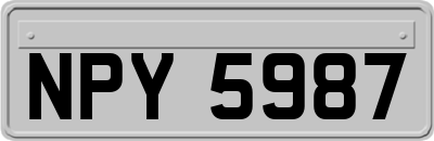 NPY5987