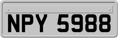 NPY5988