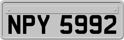 NPY5992