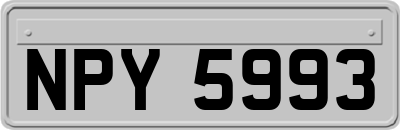 NPY5993