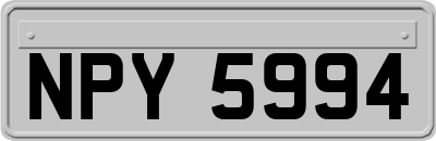 NPY5994