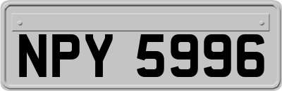 NPY5996