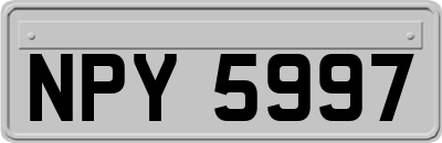 NPY5997