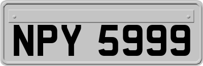NPY5999