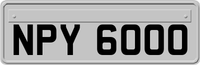 NPY6000