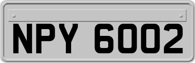 NPY6002