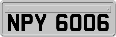 NPY6006