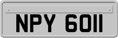 NPY6011