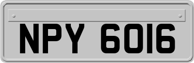 NPY6016