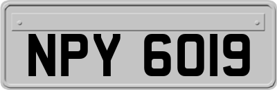 NPY6019