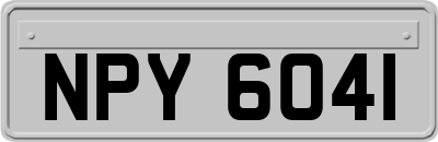 NPY6041