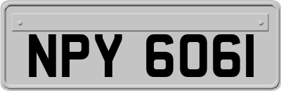 NPY6061