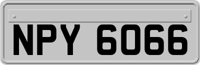 NPY6066
