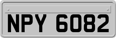 NPY6082