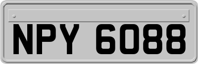 NPY6088