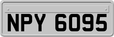 NPY6095
