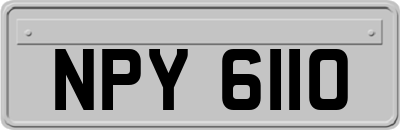 NPY6110
