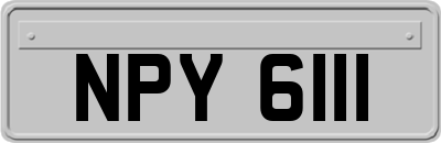 NPY6111
