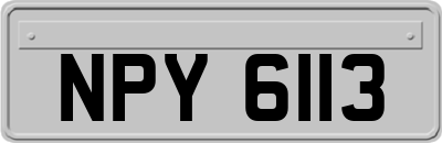 NPY6113