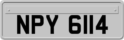 NPY6114