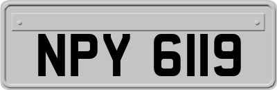NPY6119