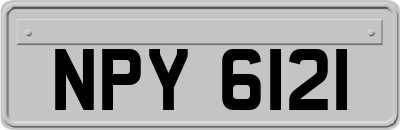 NPY6121